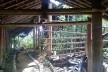 Centro de Proteção Ambiental em Balbina, situação atual<br />Foto Hugo Segawa 