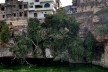 Reservatório Kukdeshwar Kund em Chittorgarh<br />Foto Carlos M Teixeira 