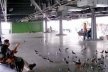 Sob o Palácio, a fluidez da praça se demonstra por seus elementos característicos: homens de meia-idade nos bancos, pombos, mendigos<br />Foto Daniel J. Mellado Paz 