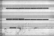 Departamento de Mineralogia, Petrologia, Geologia e Paleontologia da Faculdade de Filosofia, Ciências e Letras da USP, elevações. Cidade Universitária, São Paulo, 1961, arquiteto Pedro Paulo de Melo Saraiva<br />Acervo PPMS  [ESPALLARGAS GIMENEZ, Luis. <i>Pedro Paulo de Melo Saraiva, arquiteto</i>. Romano Guerra, 2]