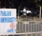 portão da Universidade do Panjab<br />Foto de Denise Teixeira e Luís Barbieri 