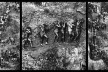 “O inferno de Bosch segundo Sebastião Salgado”, tríptico 3, fragmentos da exposição fotográfica “Gold – Mina de Ouro Serra Pelada”<br />Fotomontagem de Abilio Guerra 