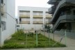 Jardins Públicos Mantidos Pelos Moradores<br />Foto Victoriano Pedrassa Neto 