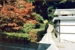 Koke-dera, o Templo dos Musgos, o caminho que leva aos musgos
<br />Foto Maria do Carmo Maciel Di Primio 