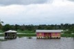 Margem do Rio Amazonas<br />Foto Eduardo Oliveira Soares, julho 2019 