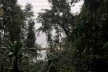 Vista de Ilha Grande<br />Foto Abilio Guerra 