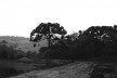 Sequência de obra: preparação do terreno [Acervo Joan Villà]