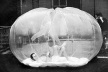 "Cushicle", Archigram  [http://paginas.terra.com.br/arte/anaholck]