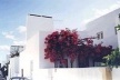 Fig.8 – Habitational unit: The coloring of the vegetation against the white paintwork is a factor of indivualization of the dwelling. Also, note the patio wall which is the same height as the front gate<br />Foto JAZ, 1997 