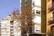 El edificio Mediterráneo visto desde la calle Conde Borrell<br />Foto Nicolás Sica Palermo 