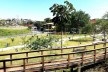 Parque Municipal Nair Bello, imagem da passarela e conjunto da fase 01, São Paulo SP Brasil, 2020. Secretaria Municipal do Verde e do Meio Ambiente<br />Foto divulgação  [Acervo SVMA/DIPO]