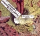 MOEBIUS (desenho/texto). L´Homme est’il bon?, 1979. Humanóides Associés

