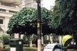 Abrigo/Manifesto para Moradores de Rua<br />Imagem do autor do projeto 