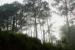 Estrada da Laranja Azeda, Atibaia SP<br />Foto Adriano de Carvalho Capeto 