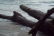 Praia da Joaquina, Florianópolis, março de 2011<br />Foto Adson Cristiano Bozzi Ramatis Lima 