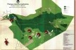 Roberto Burle Marx, Projeto do Parque das Mangabeiras [Fonseca, 2003]