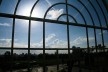 A cidade vista de dentro da estufa<br />foto Lygia Nery 