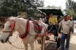 City tour em Tiradentes, com guia local também cocheiro<br />Foto divulgação 