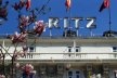 Ritz Madrid<br />Ana Paula Spolon 