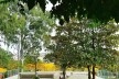 Readequação do Parque Municipal Raul Seixas, São Paulo SP Brasil, 2019. Secretaria do Verde e Meio Ambiente – Departamento de Implantação, Projetos e Obras/ Secretaria Municipal da Pessoa com Deficiência<br />Foto Leon Rodrigues  [Secom]