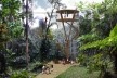 Parque Nacional de Itatiaia, maquete eletrônica da Torre da tirolesa (parte baixa / sistema e material construtivo madeira laminada colada), Rio de Janeiro Brasil / Minas Gerais Brasil, 2017. Arquitetos Pedro Paes Lira, Manoela Machado, Camila Sanches, Gi<br />Imagem divulgação  [Acervo Natureza Urbana]