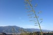 Caracas vista de El Volcán<br />Foto Luiza Bussius 