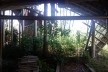 Centro de Proteção Ambiental em Balbina, situação atual<br />Foto Hugo Segawa 