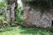 Ruínas do Engenho da Lagoinha, Ubatuba SP<br />Foto Thamara Gasch 