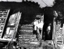 Favela carioca<br />Foto Fábio Costa 