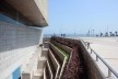 Lugar de la Memória, la Tolerância y la Inclusión Social, vista dos terraços e praça voltados a cidade, Lima, Perú. Arquitetos Barclay & Crousse<br />Foto Bruno Carvalho, abr. 2017 