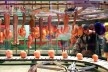 Exposição "Mais de Mil Brinquedos para a Criança Brasileira", Sesc Pompeia, de 9 de julho de 2013 a 2 de fevereiro de 2014<br />Foto Caio Romano Guerra 
