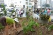 Claudia Visoni uma das cofundadoras do “Hortelões Urbanos” trabalhando na horta no distrito financeiro da Avenida Paulista, sobre um túnel central entre vias extremamente movimentadas por carros. <br />Foto Cecilia Herzog 