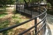 Parque Augusta, São Paulo<br />Foto Ethel Leon 