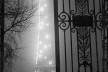 Detalle Torre Eiffel<br />Foto Brassaï 