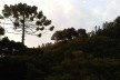 Paisagem de Monte Verde, Camanducaia MG<br />Foto Abilio Guerra 