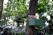 Parque Augusta, mobilização<br />Foto Fábia Mercadante 