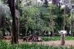 Vegetação e área permeável na Praça Buenos Aires, São Paulo<br />Foto Abilio Guerra 