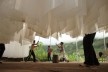 Espaço de Experimentação Teatral, AlBorde, 2010