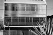 Residência Antônio Ceppas, Bairro Leblon, Rio de Janeiro RJ, 1951. Arquiteto Jorge Machado Moreira<br />Foto Juvêncio Souza 