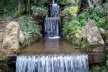 Grande cascata / Raízes tabulares do chichá / Deusa Tétis fonte Wallace 