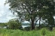Paisagem paulistana com cheiro de frango assado<br />Foto André Luiz Joanilho 