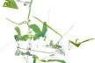 Sistema estrutural: o Parque como elemento de reconexão urbana