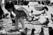 Menina e pombos em frente ao Teatro Nacional I, San José, Costa Rica<br />Foto Junia Mortimer 