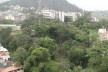 Árvores antes da obra do Be Happy na Estrada do Capenha [divulgação]