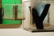 Enxertos, instalação artística de Carlos Teixeira, Fernando Maculan e Leonardo Costa Braga<br />Foto divulgação 