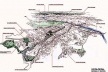 Operação Urbana Vila Sônia. Plano-Referência de Intervenção e Ordenação Urbanística. Vvista geral<br />Desenho V. Keating 