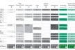 Figura 21 - Complexo da lagoinha: Diagrama de Cruzamento das Demandas