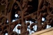 Detalhe de gradil, Estação da Luz<br />Foto Silvana Romano 