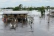 Margem do Rio Amazonas<br />Foto Eduardo Oliveira Soares, julho 2019 