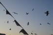 Cenas de Instambul<br />Por Felipe Arruda 